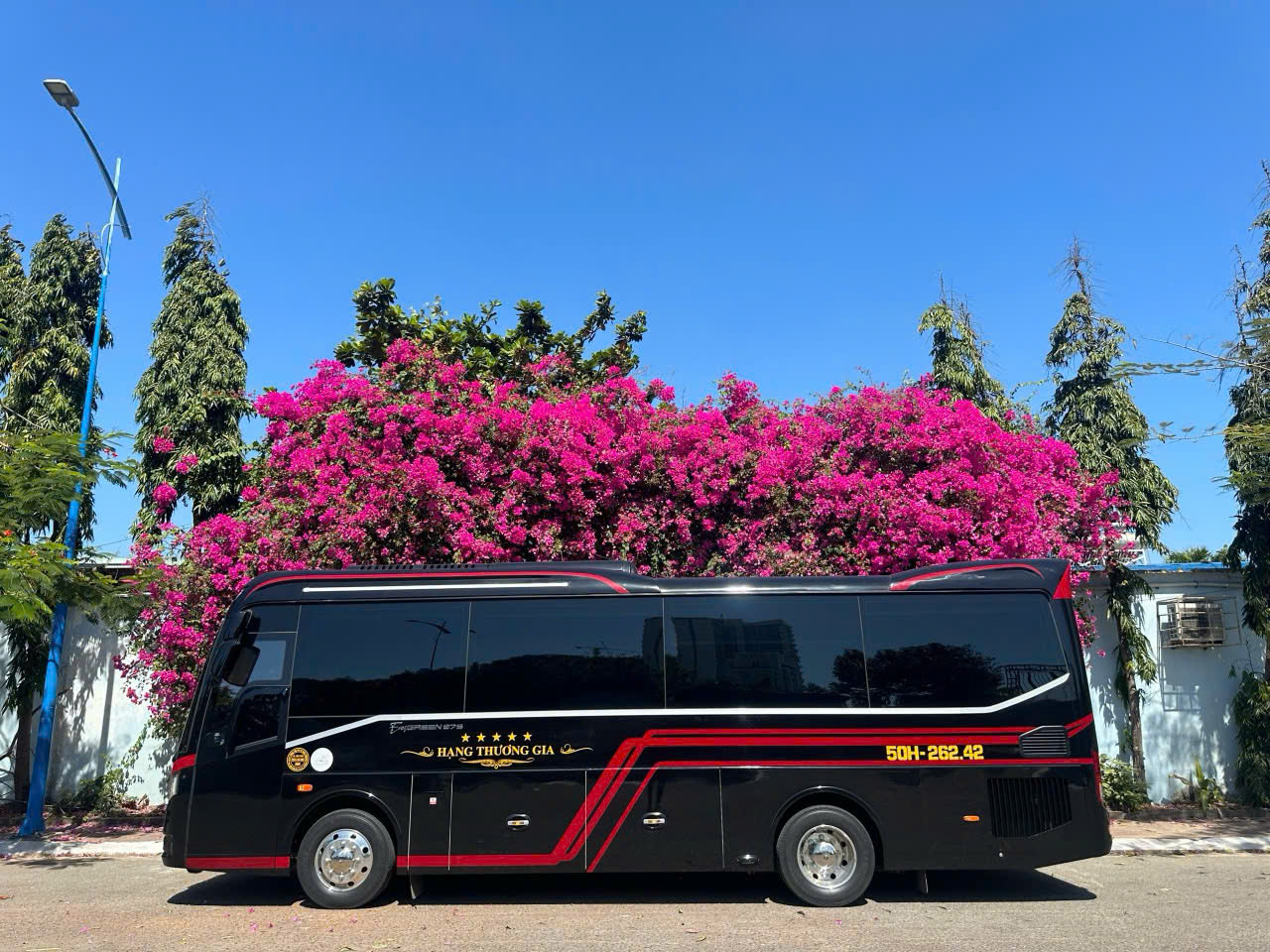 luxury bus